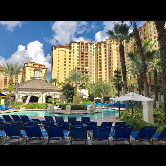 Meet your Posher, Carolyn - Picture 1 of 1